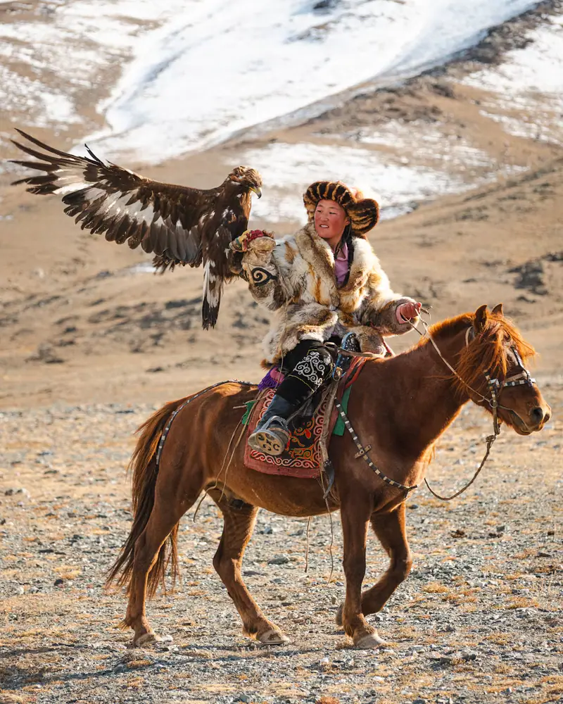 An eagle swoops toward a hunter on horseback