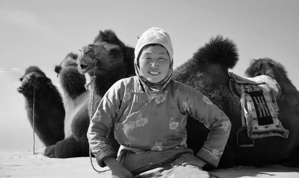A camel herder smiling beside her resting camels