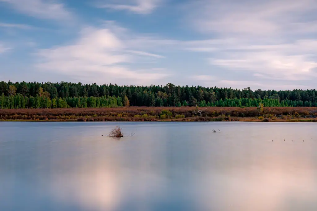 A still lake ringed by forest near Dadal