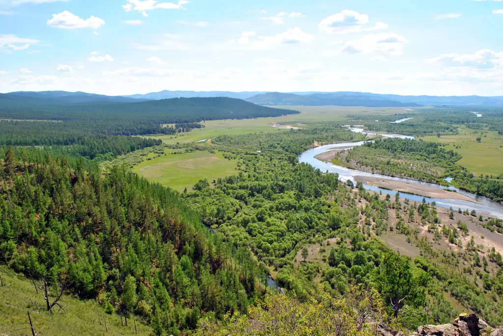 A river winding through forest and steppe
