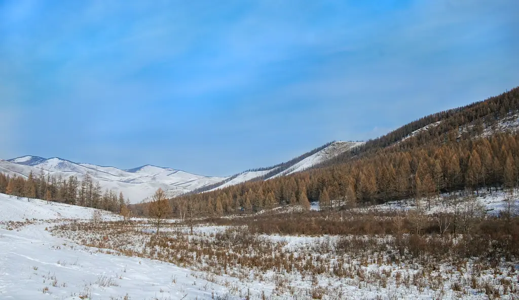 A snowy valley in the mountains of Terelj